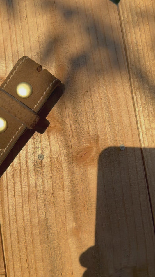 Roughout/Gunslinger belt